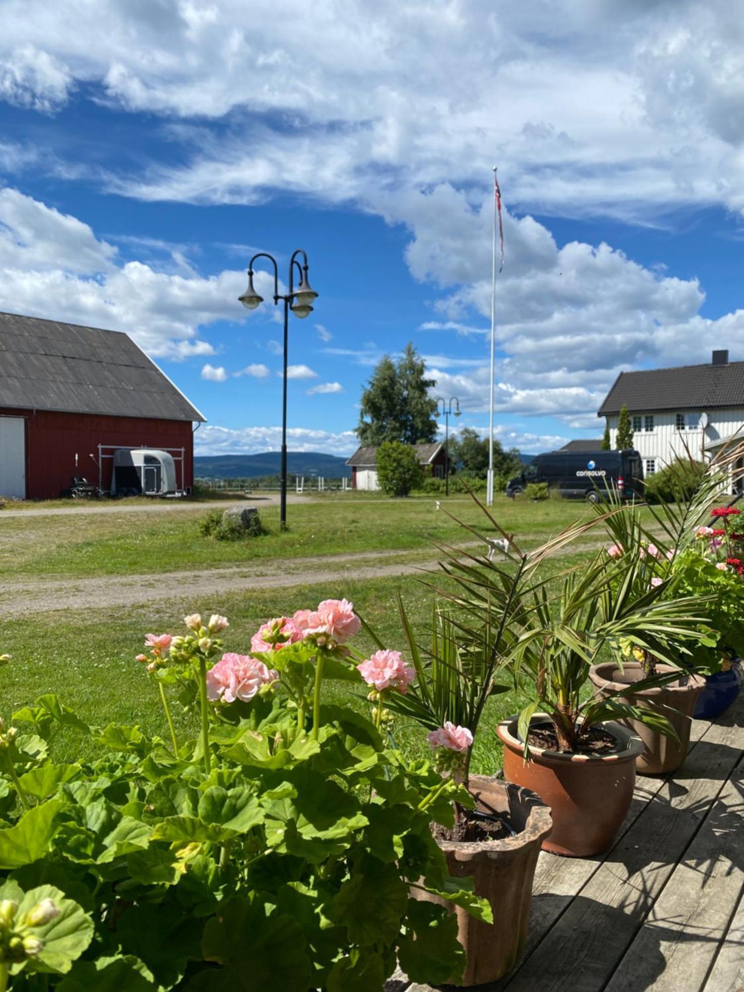 Вилла Sundby Fjordhestgard Гардермуэн Экстерьер фото